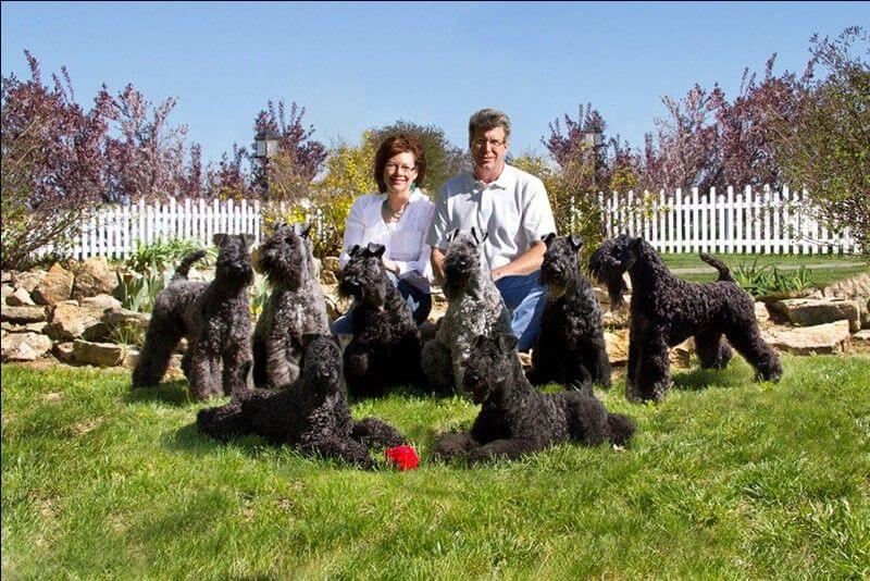 Lois Grier Krisma Kerry Blue Terriers