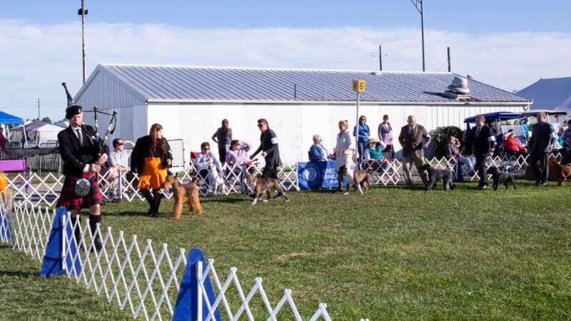 Monroe Kennel Club Dog Show