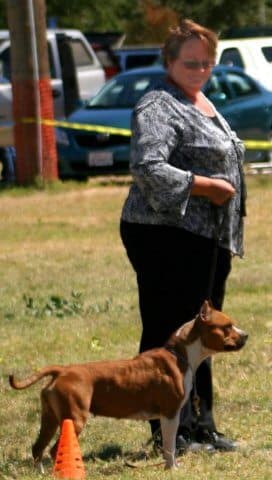 Nancy Hjelmstad of Sunset American Staffordshire Terriers