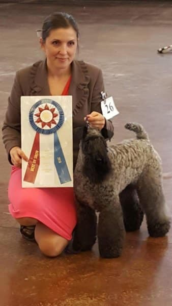 Dr. Natalia Samaj Kunze - Cross the Rubicon Kerry Blue Terriers