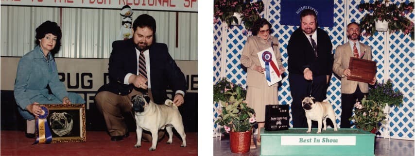 Left: CH Bonjor Clark Kent winning the National under Shirley Limoges - Right: CH Blaque Bombaway, under Judge Betty Dexter