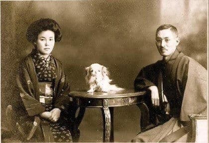 Japanese Chin origin