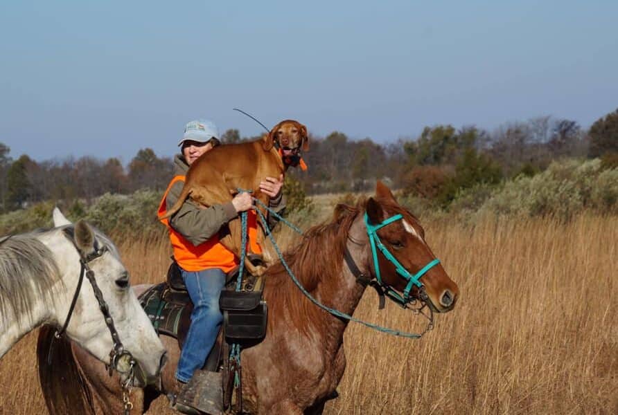 2022 Breeder of the Year by Sport