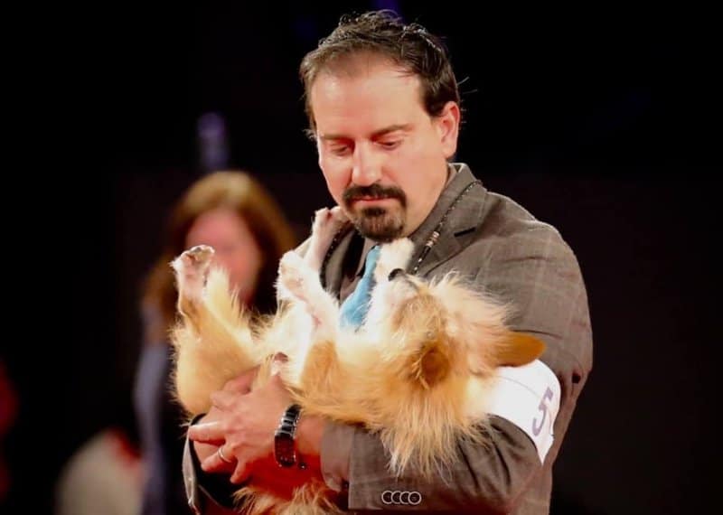 Professional Handler Adrian Ghione at a dog show