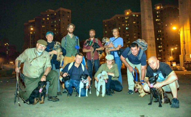 ‘Marcus’ and I were delighted when Patricia Eriksson, Malin’s daughter, came to the United States for a visit and handled Marcus in a full scale rat hunt. Both of them did very well. (Svenska photo)