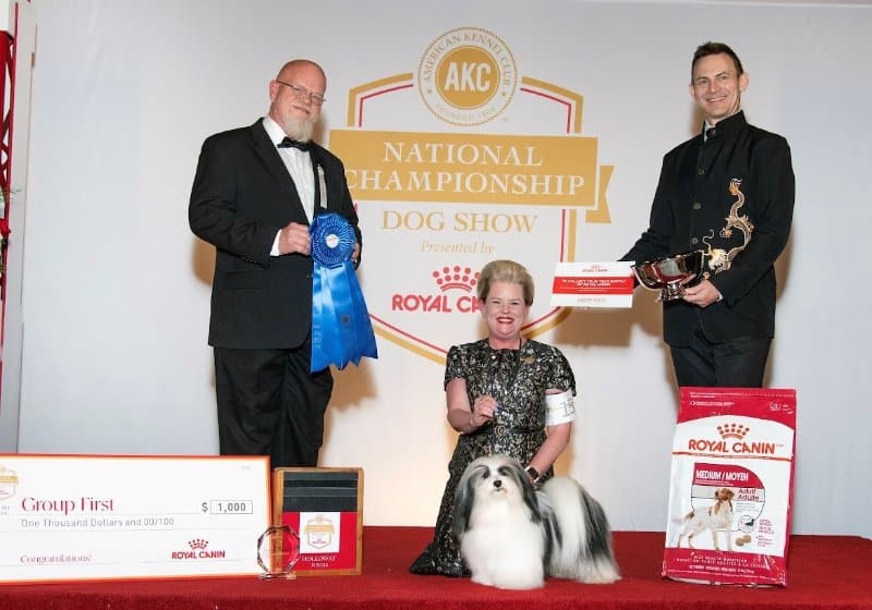 Toy Group Judge Jeff Bazell with Toy Group winner: GCHP CH Kolmar's & Los Feliz The Man Of Steel, a Havanese known as “Clark,” owned by Anne Stevenson & Nancy Brown & Gary Brown & L Soar of Seattle, WA and bred by Mark W Kolbe.