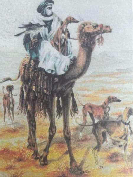 Figure 2. Sketch of the Tuareg with an Azawakh, Niger 1998. artist unknown