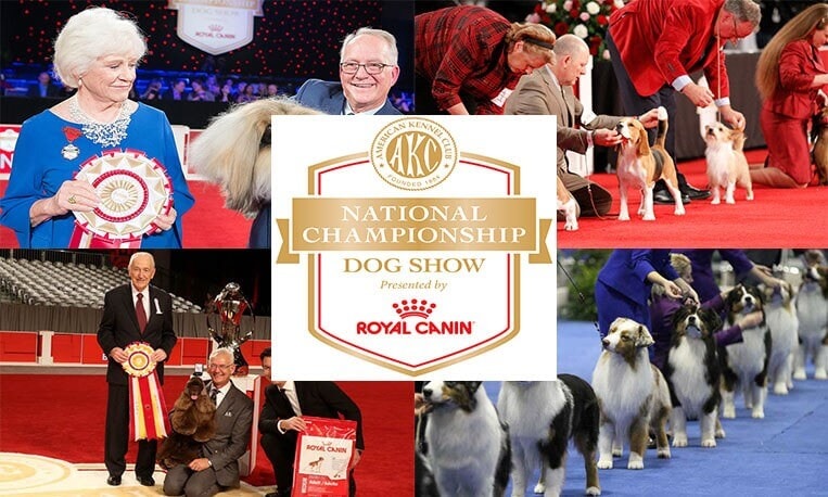 AKC National Championship 2022