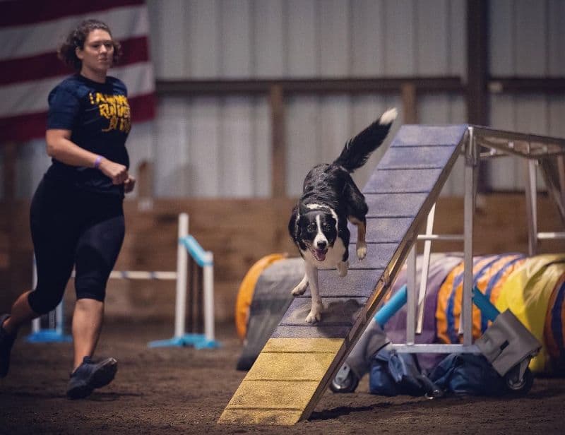 Caitlin Ascher with her Border Collie dog