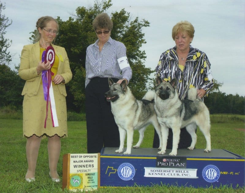 Margaret “Maggie” K. Mott & Sally P. Simmonds of Kamgaard Norwegian Elkhounds