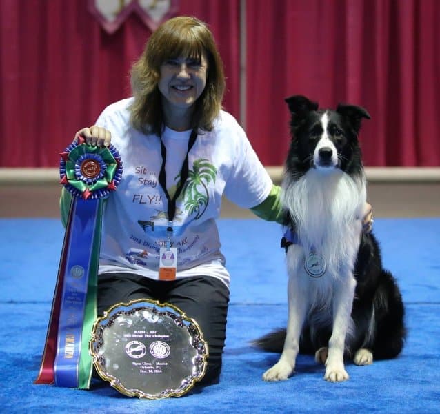‘Lex’ and Penny, NADD Champion at the AKC Agility League