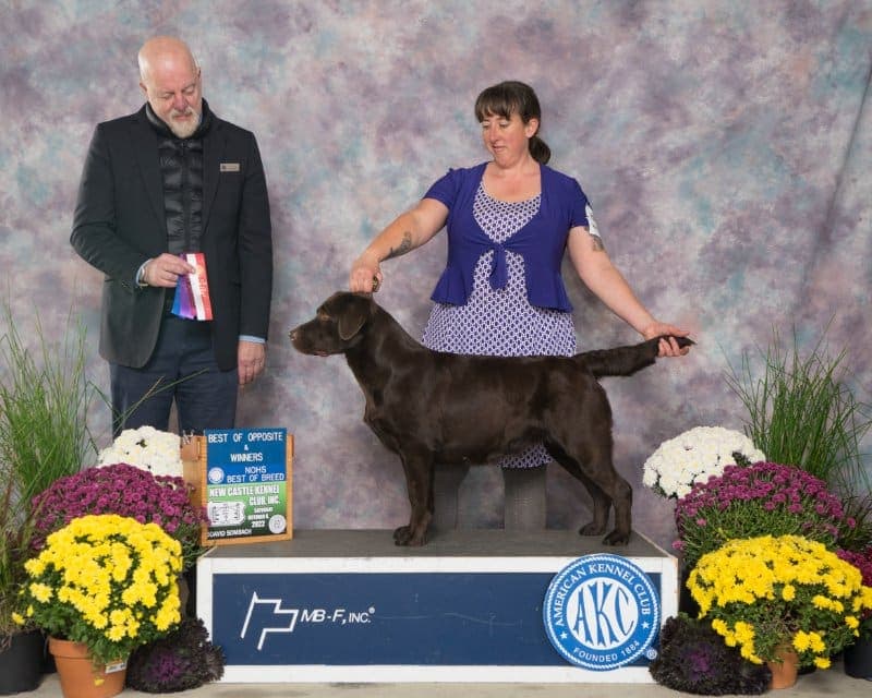 ‘Rune’ going Best of Opposite Sex for her last single points under judge James Albrecht, Oct 2022.