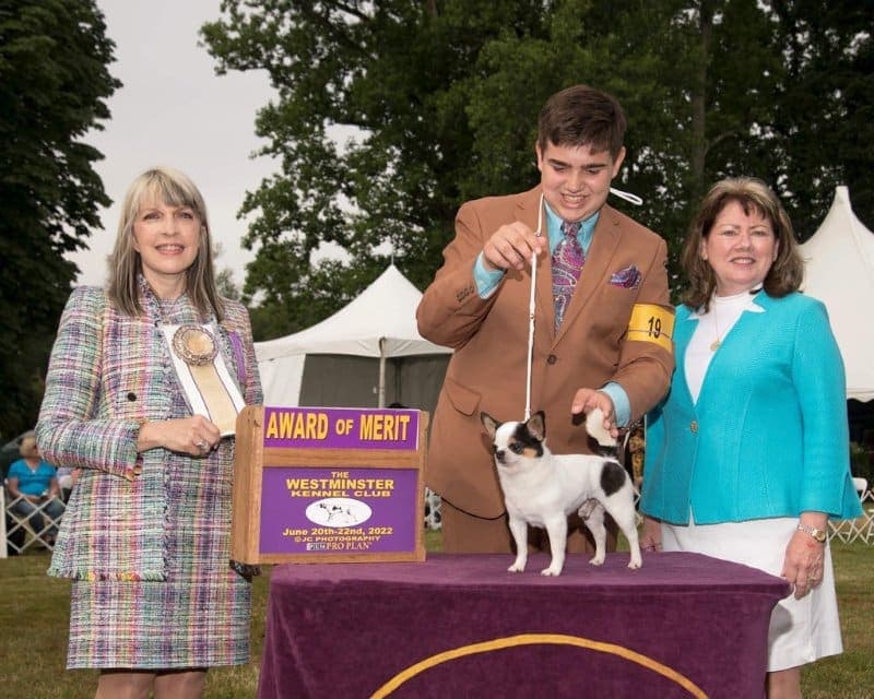Bryant Janetzke with his Chihuahua at a dog show