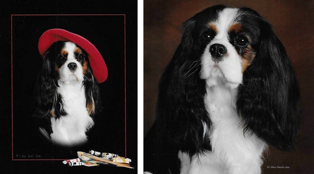 Left: Fredrik, my artiste. - Right: Fredrik, For Your Eyes Only