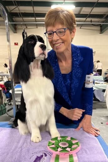 Laureen Camisi of Sapphire English Springer Spaniels
