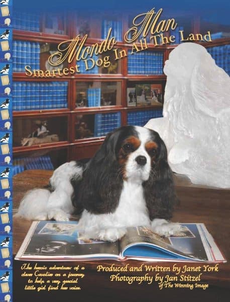Mondo Man Book