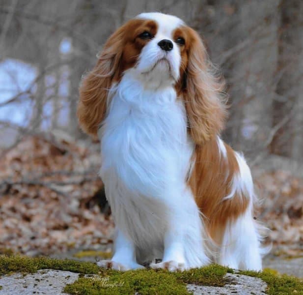 Treasure on the lookout