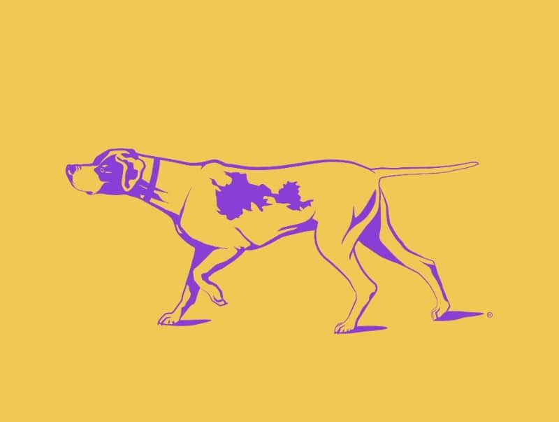 westminster kennel club banner