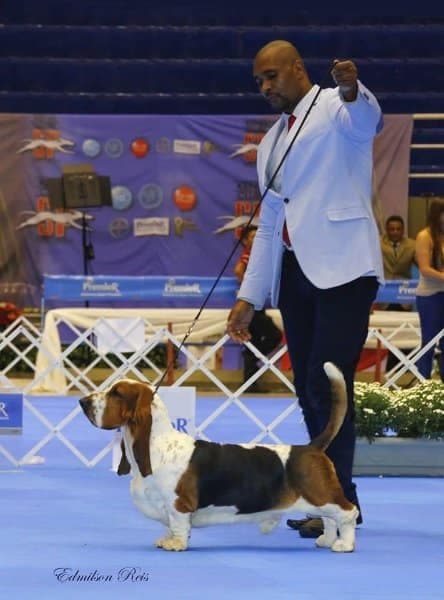 Claudio Da Cruz Conceicao of Lake Park Bassets