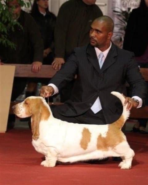 Claudio Da Cruz Conceicao of Lake Park Bassets