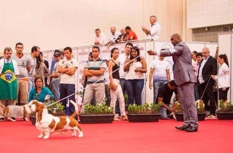 Claudio Da Cruz Conceicao of Lake Park Bassets