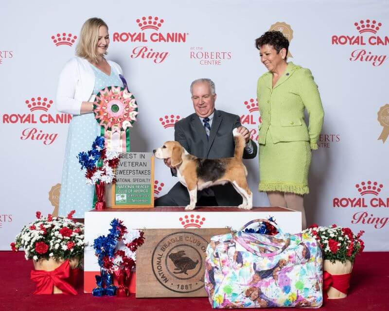 Owner Handler David Wolf at a dog show