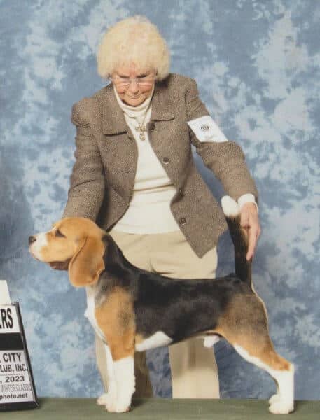 Joan Wurst - Everwind Beagles