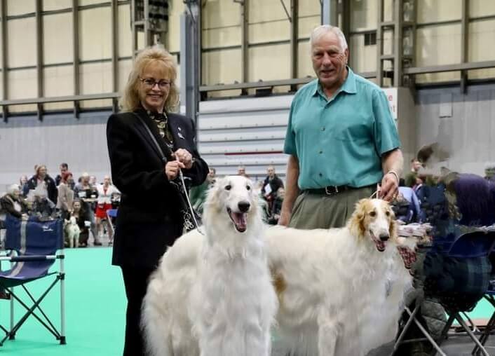 Bill and Lynda Sarman with their Radost Borzoi dogs