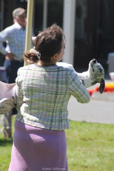 Audrey and Diamond. photo by Dolores Ferrero, Banjo’s owner