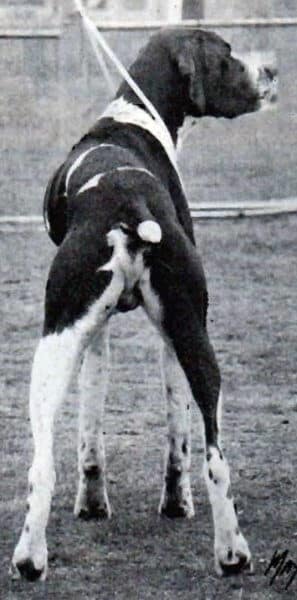 Figure 3. Pointer Rear View