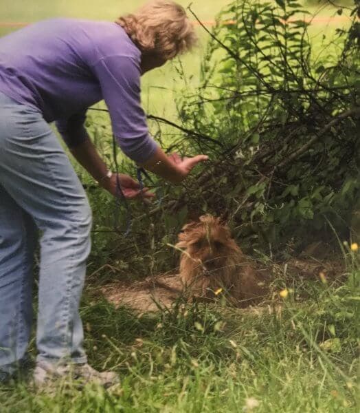 Heather Rife with her Australian Terrier in the field