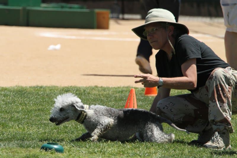 Pat Bennett with her dog, ‘Lucy.’ Photo courtesy of Jen Petit Photography.