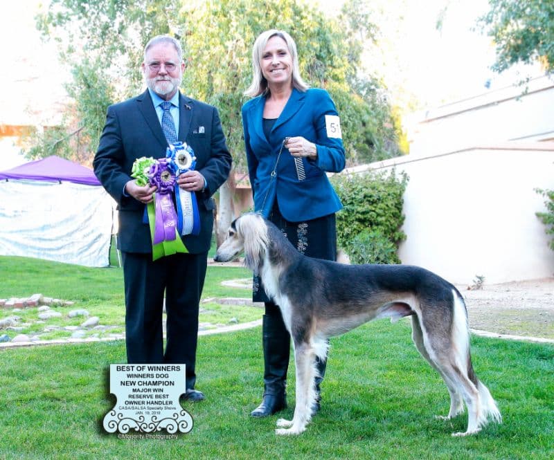 Man and woman at a dog show