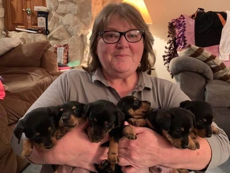 Sheryl Bradbury holding Mashury Lancashire Heelers