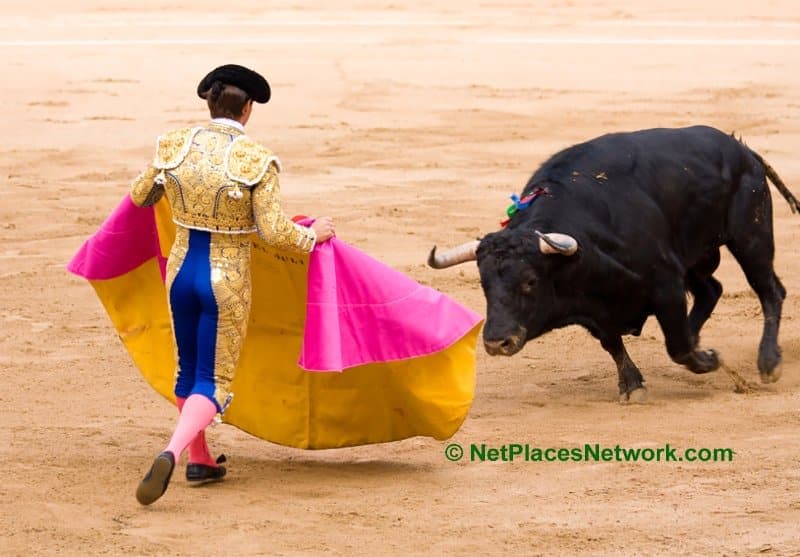 bull fighter in the ring