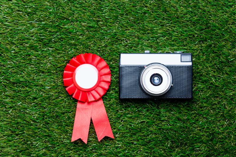 Improving Your Win Rate in Dog Show rings