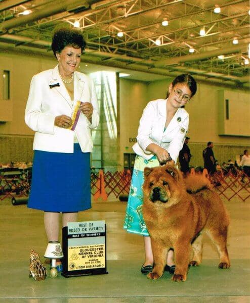 Young Angela Chase at a dog show
