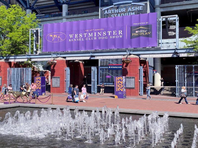 Westminster, Anyone? Tennis Center Proves an Ideal Site for Iconic Dog Show