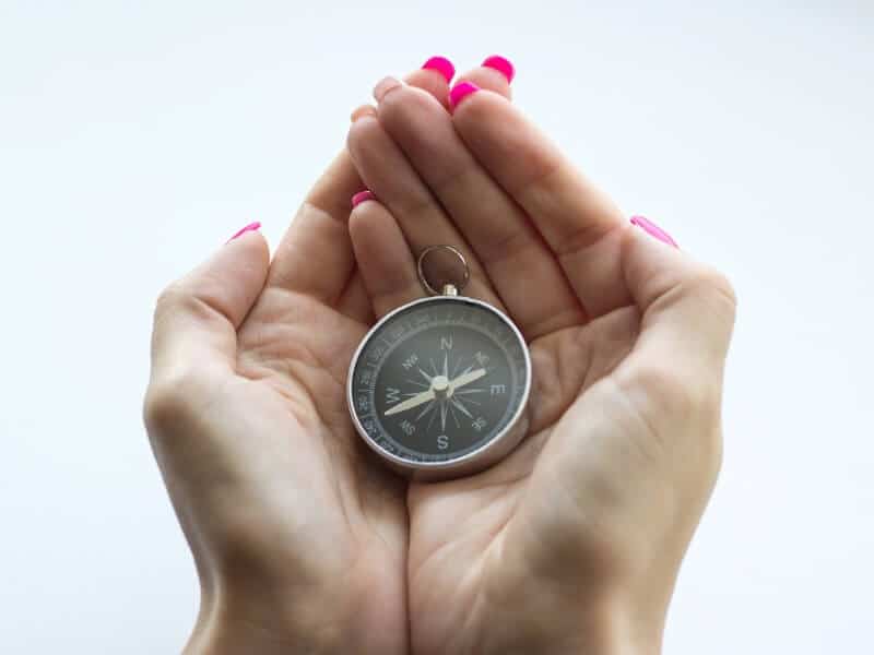 girl in the palms holds a compass on a white background, representing guidance for novice dog show exhibitors