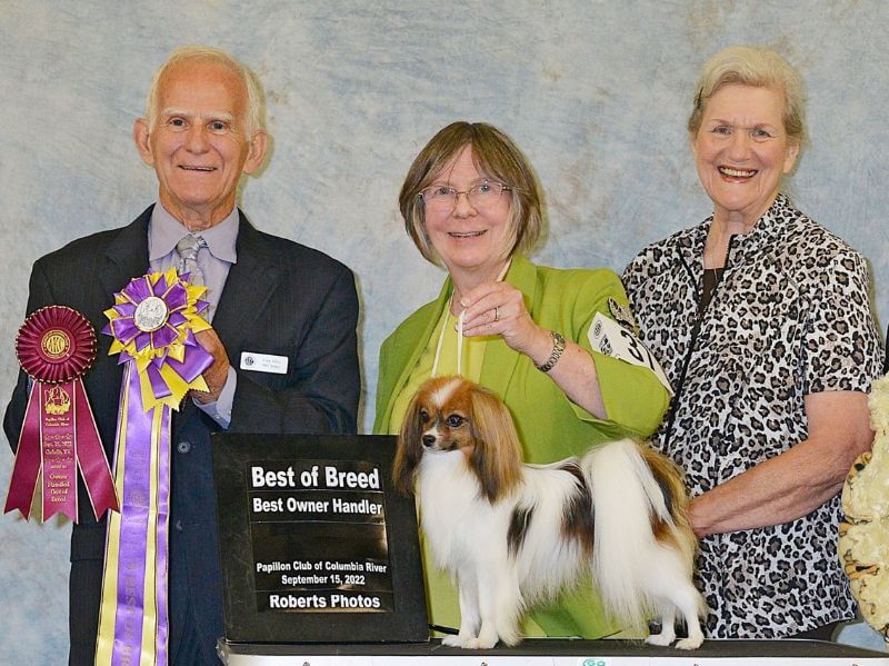 Interview with Marion Ford, Breeder of Akai Papillons
