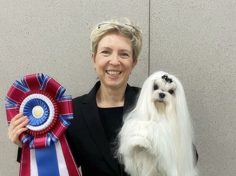 Victoria Chedygov, Breeder of Vellavica Maltese