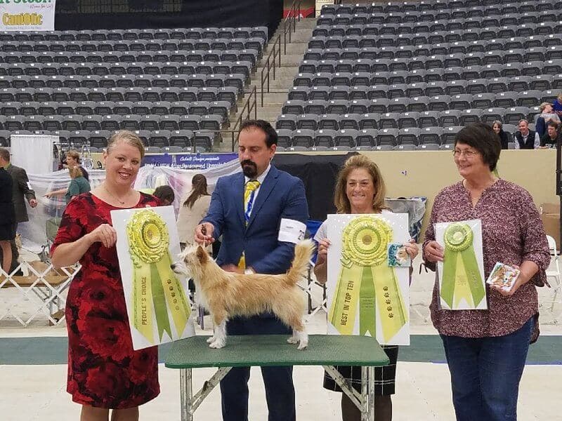 Adrian Ghione at a dog show