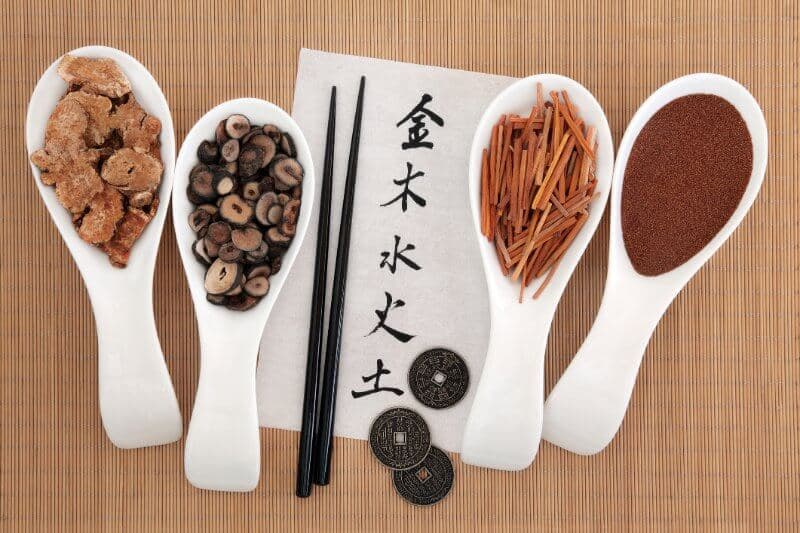 Traditional Chinese Medicine Dogs
