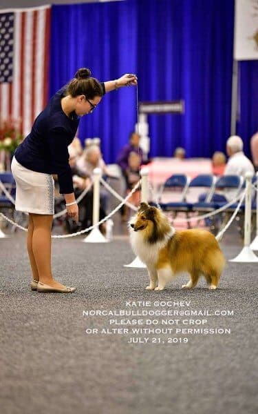Katie Seppi at a dog show