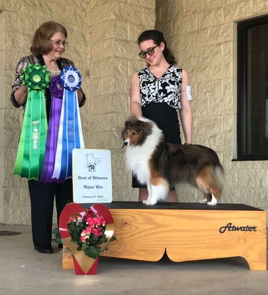 Katie Seppi at a dog show
