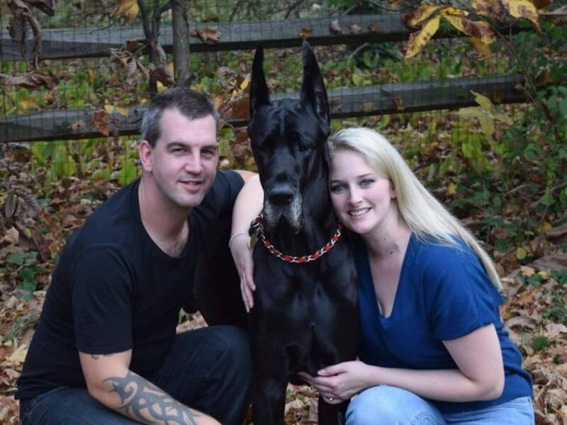 Jackie van Delft, Breeder of VanDelft Danes Kennel