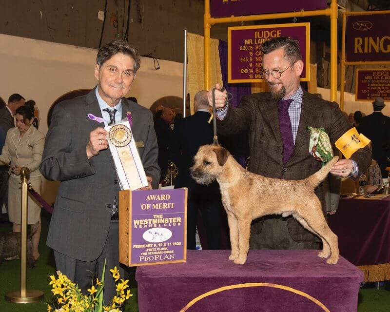 Two men standing next to a dog at a dog show.