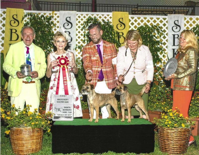 A group of people standing on a stage with two dogs.