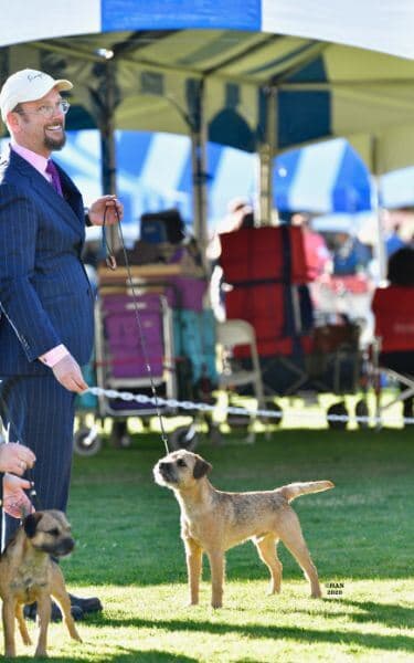Peter Holson standing next to his Border Terrier on a leash.