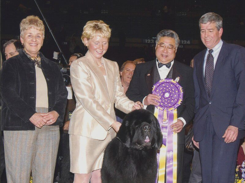 Dave Helming with CH Darbydale’s All Rise Pouch Cove (Josh) Best in Show at Westminster in 2004.